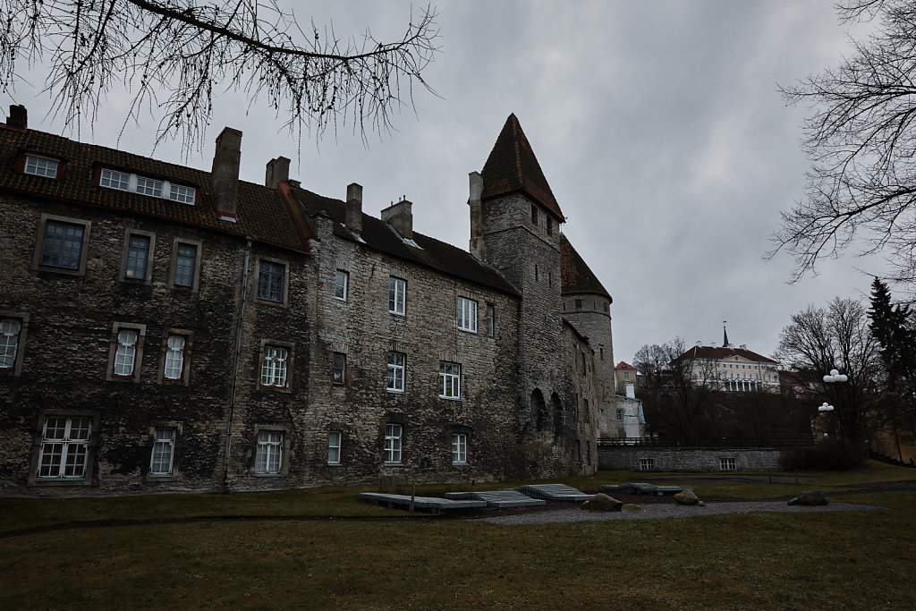 IMG-2237-cp2.jpg